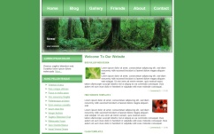 forest